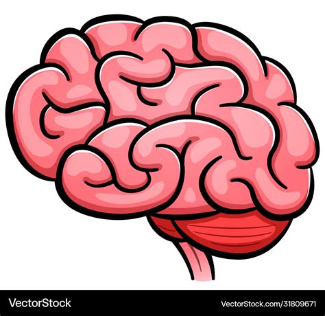 brain cartoon photo